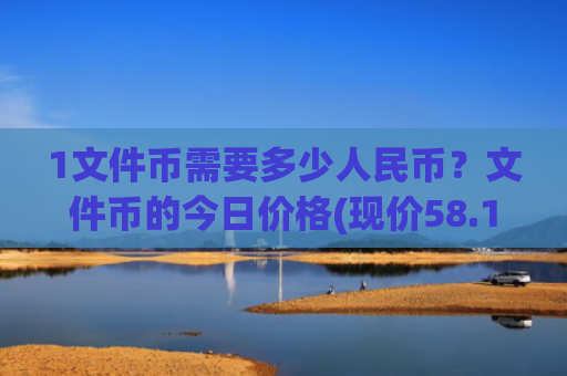 1文件币需要多少人民币?文件币的今日价格(现价58.117元)