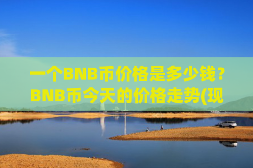 一个BNB币价格是多少钱？BNB币今天的价格走势(现价5339.23元)