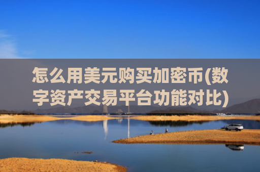 怎么用美元购买加密币(数字资产交易平台功能对比)