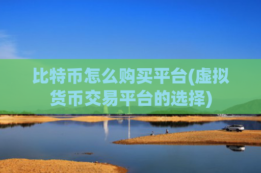 比特币怎么购买平台(虚拟货币交易平台的选择)