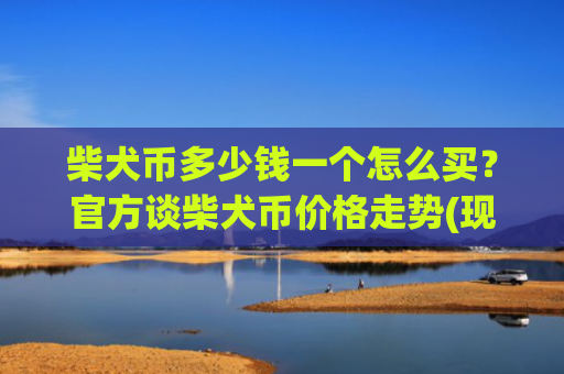 柴犬币多少钱一个怎么买？官方谈柴犬币价格走势(现价0.00022596元)