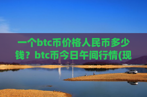 一个btc币价格人民币多少钱?btc币今日午间行情(现价732199.24元)
