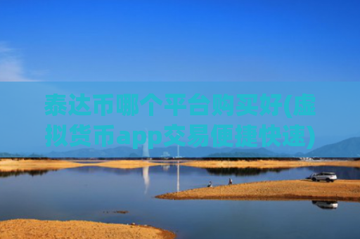 泰达币哪个平台购买好(虚拟货币app交易便捷快速)