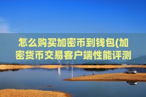 怎么购买加密币到钱包(加密货币交易客户端性能评测)