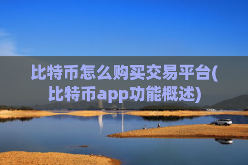 比特币怎么购买交易平台(比特币app功能概述)