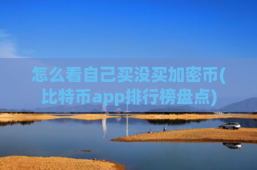 怎么看自己买没买加密币(比特币app排行榜盘点)