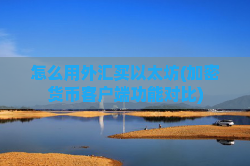 怎么用外汇买以太坊(加密货币客户端功能对比)