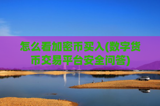 怎么看加密币买入(数字货币交易平台安全问答)