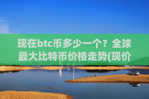 现在btc币多少一个？全球最大比特币价格走势(现价737108.3元)