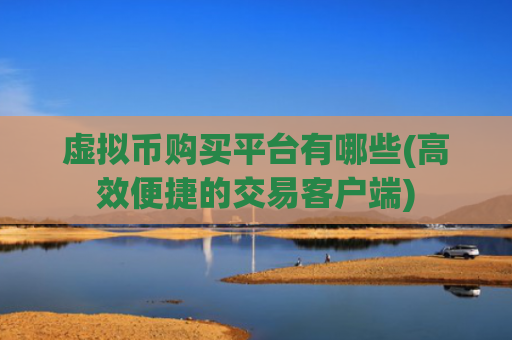 虚拟币购买平台有哪些(高效便捷的交易客户端)