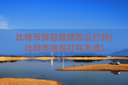 比特币钱包数据怎么打开(比特币钱包打开方式)