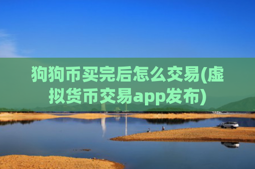 狗狗币买完后怎么交易(虚拟货币交易app发布)