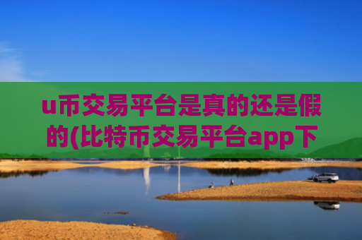 u币交易平台是真的还是假的(比特币交易平台app下载指南)