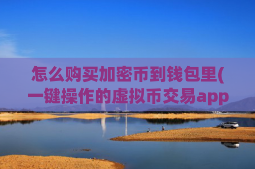 怎么购买加密币到钱包里(一键操作的虚拟币交易app)