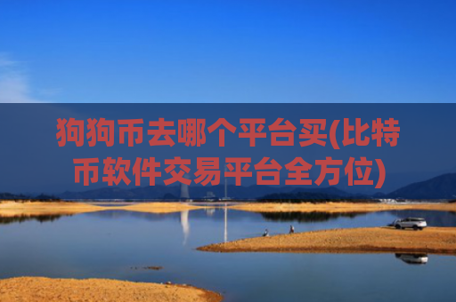 狗狗币去哪个平台买(比特币软件交易平台全方位)