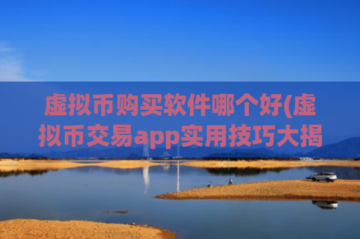 虚拟币购买软件哪个好(虚拟币交易app实用技巧大揭秘)