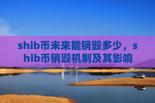 shib币未来能销毁多少,shib币销毁机制及其影响
