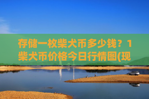 存储一枚柴犬币多少钱?1柴犬币价格今日行情图(现价0.00022687元)