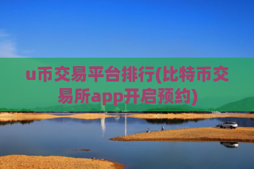 u币交易平台排行(比特币交易所app开启预约)