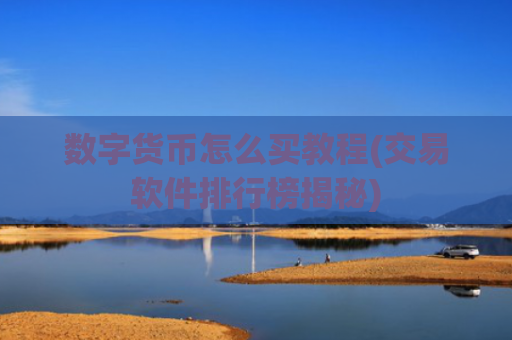 数字货币怎么买教程(交易软件排行榜揭秘)