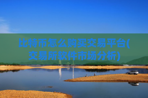 比特币怎么购买交易平台(交易所软件市场分析)