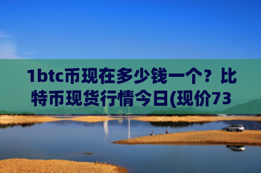 1btc币现在多少钱一个?比特币现货行情今日(现价736977.05元)