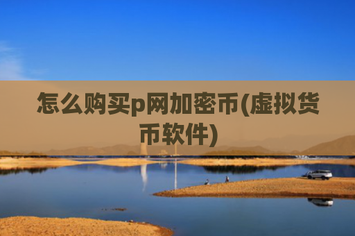 怎么购买p网加密币(虚拟货币软件)