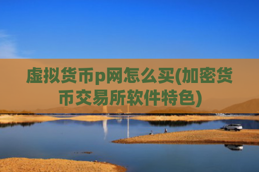 虚拟货币p网怎么买(加密货币交易所软件特色)