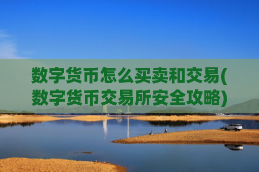 数字货币怎么买卖和交易(数字货币交易所安全攻略)