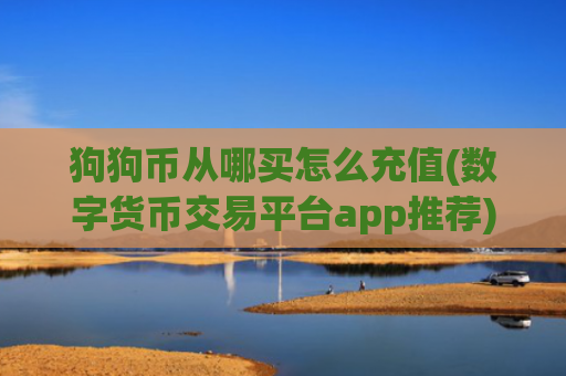 狗狗币从哪买怎么充值(数字货币交易平台app推荐)