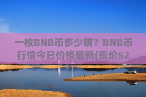 一枚BNB币多少啊？BNB币行情今日价格最新(现价5288.19元)