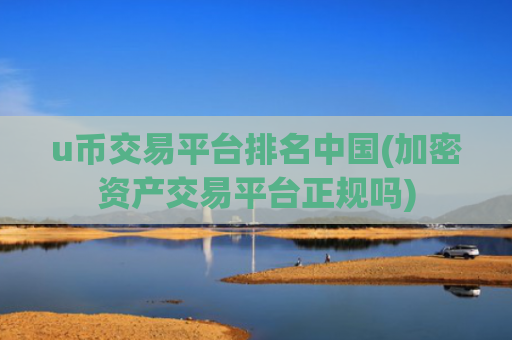 u币交易平台排名中国(加密资产交易平台正规吗)