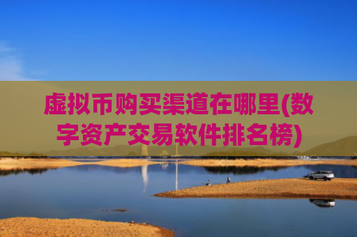 虚拟币购买渠道在哪里(数字资产交易软件排名榜)