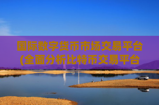 国际数字货币市场交易平台(全面分析比特币交易平台)