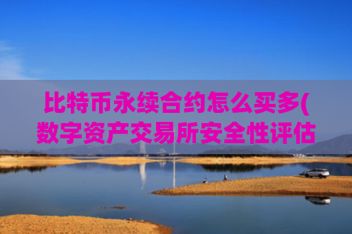 比特币永续合约怎么买多(数字资产交易所安全性评估)
