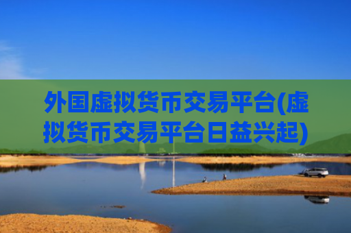 外国虚拟货币交易平台(虚拟货币交易平台日益兴起)