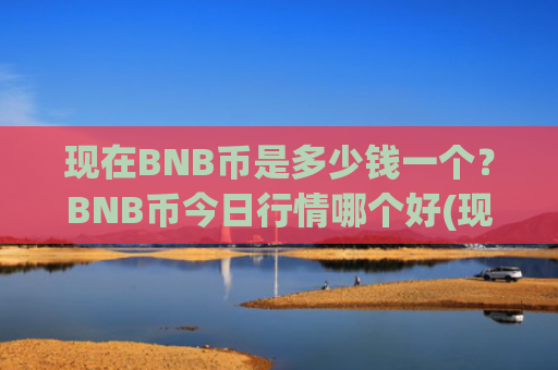 现在BNB币是多少钱一个？BNB币今日行情哪个好(现价5299.73元)