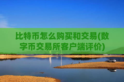 比特币怎么购买和交易(数字币交易所客户端评价)