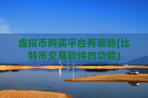 虚拟币购买平台有哪些(比特币交易软件的功能)