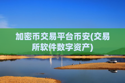 加密币交易平台币安(交易所软件数字资产)