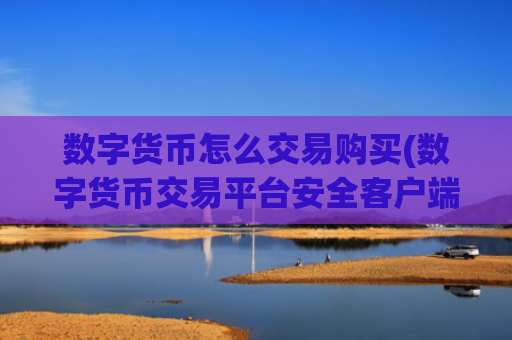 数字货币怎么交易购买(数字货币交易平台安全客户端)