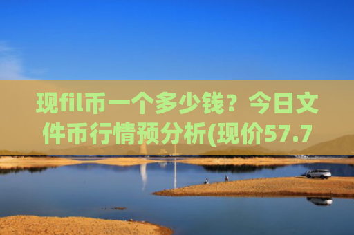 现fil币一个多少钱？今日文件币行情预分析(现价57.7346元)