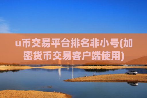 u币交易平台排名非小号(加密货币交易客户端使用)