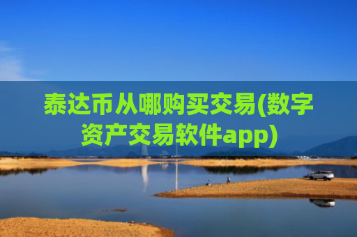 泰达币从哪购买交易(数字资产交易软件app)