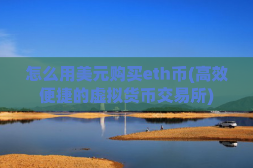 怎么用美元购买eth币(高效便捷的虚拟货币交易所)