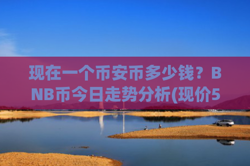 现在一个币安币多少钱？BNB币今日走势分析(现价5304.07元)