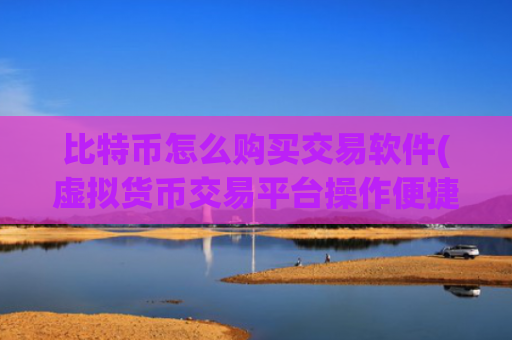 比特币怎么购买交易软件(虚拟货币交易平台操作便捷)