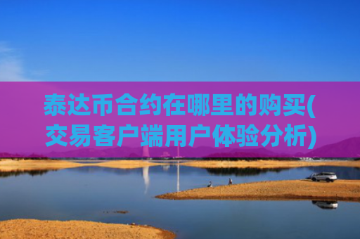 泰达币合约在哪里的购买(交易客户端用户体验分析)