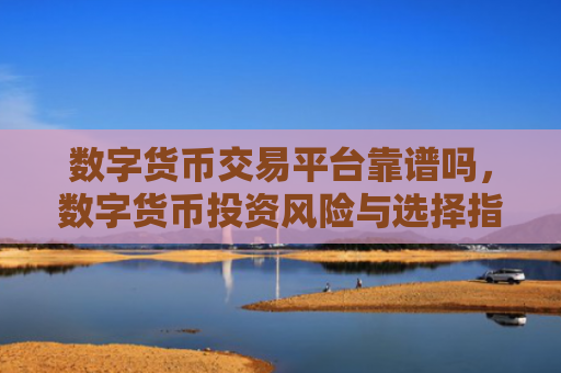 数字货币交易平台靠谱吗,数字货币投资风险与选择指南