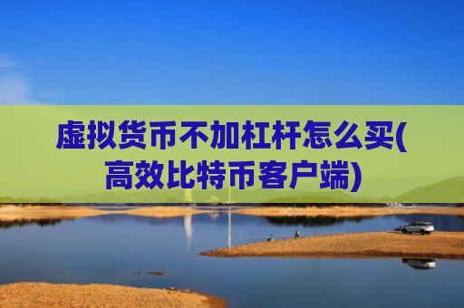 虚拟货币不加杠杆怎么买(高效比特币客户端)